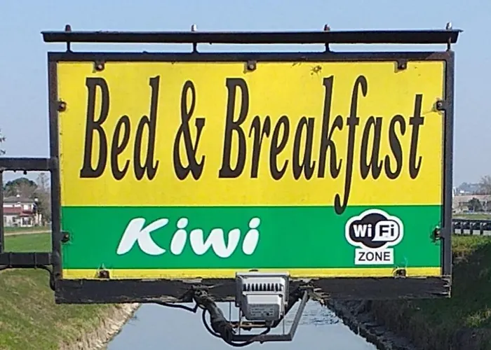 B&B Kiwi