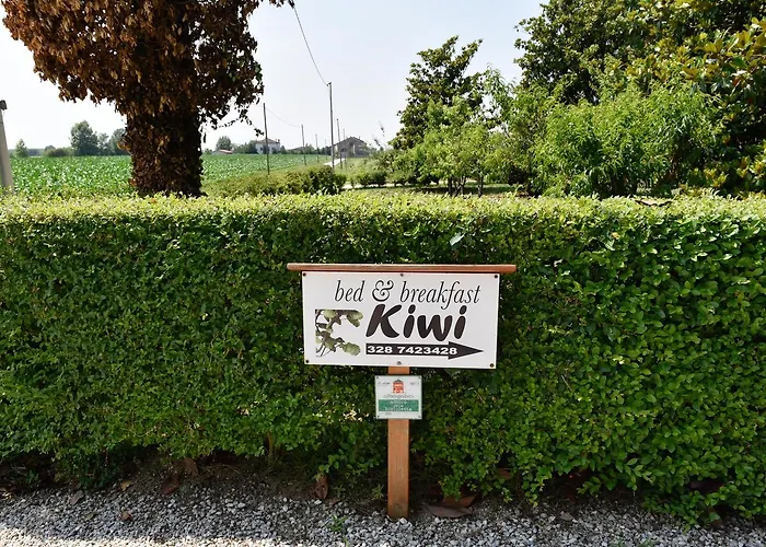 B&B Kiwi