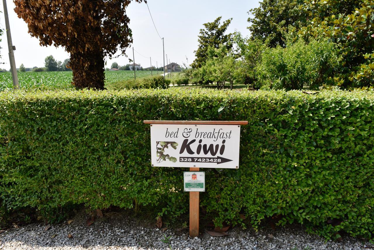 Kiwi Bed & Breakfast
